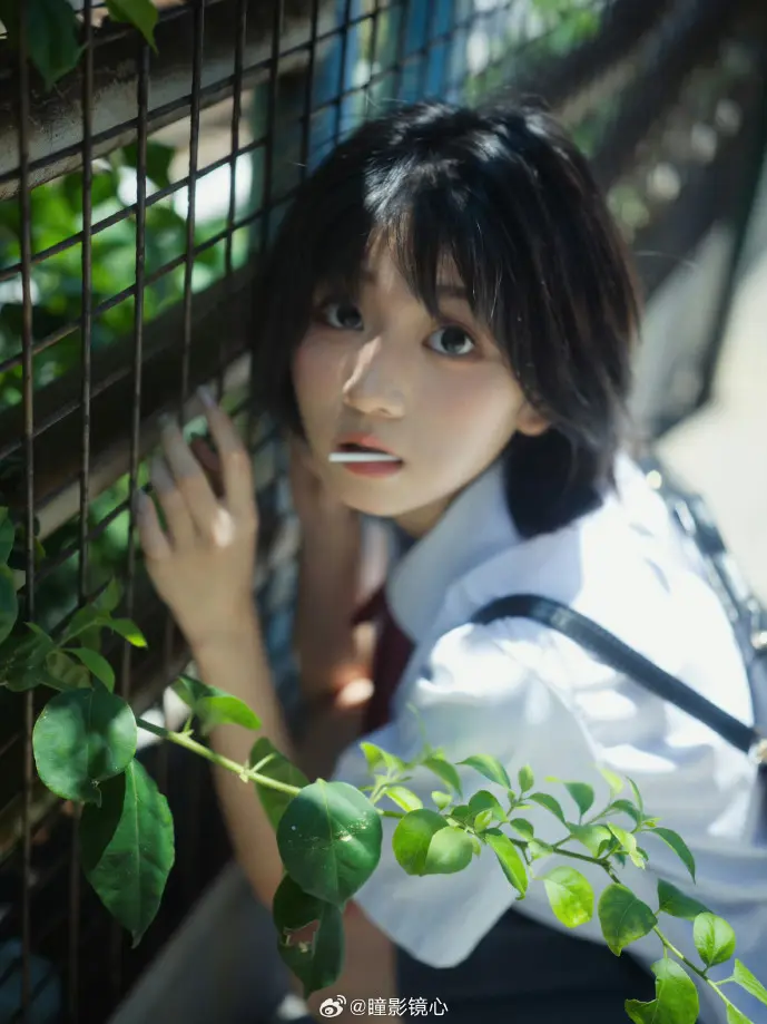 元数据分析流程图